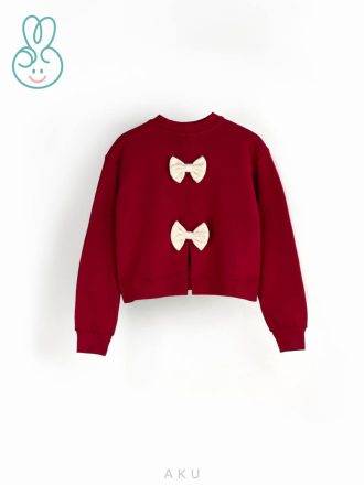 بلوز دورس پاپیونی یلدایی آکو