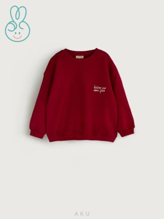 بلوز دورس دخترانه یلدایی follow برند آکو AKU