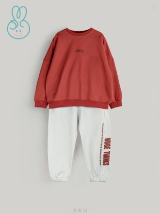 دو تیکه چاپی بیسیک آکو